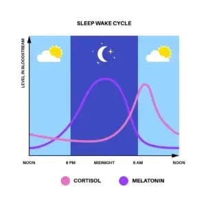 SLEEP & AWAKE CYCLE